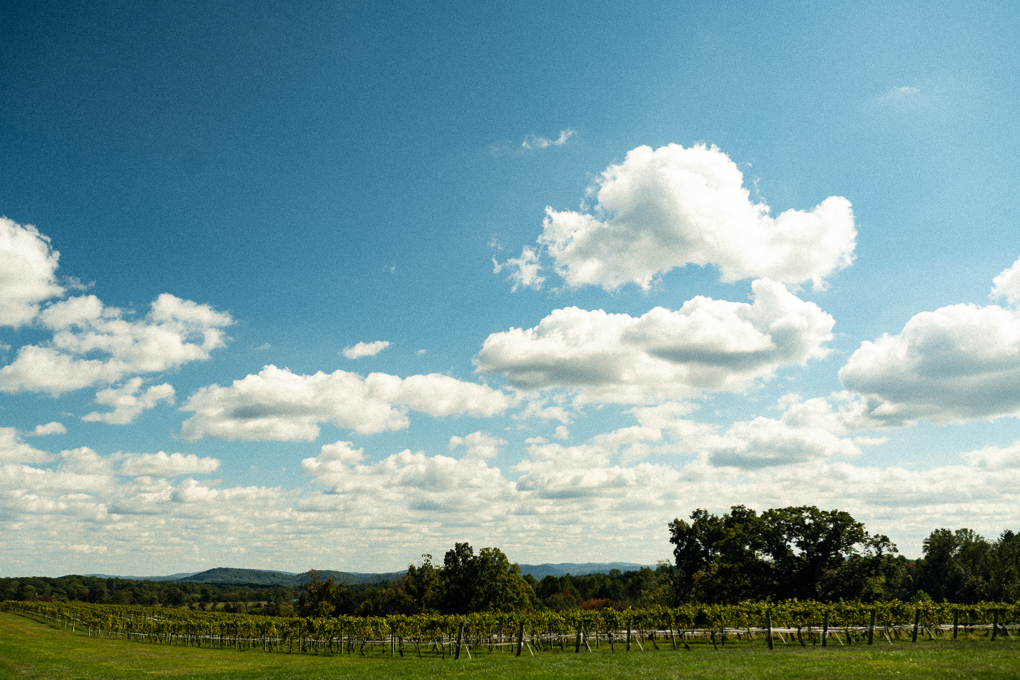 yahzay-lch-house-and-winery-39